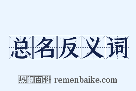 总名反义词是什么意思的图片